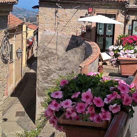 Torchiara Santa Barbara B&B מראה חיצוני תמונה
