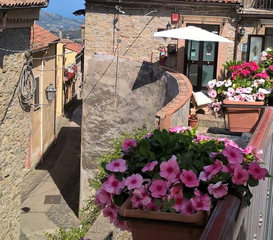 Torchiara Santa Barbara B&B מראה חיצוני תמונה